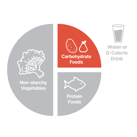 Carbohydrate foods on portion plate